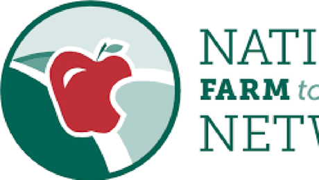 Group Banner Picture